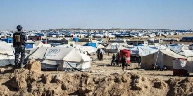 Irak Pulangkan 776 Warganya dari Kamp ISIS di Suriah