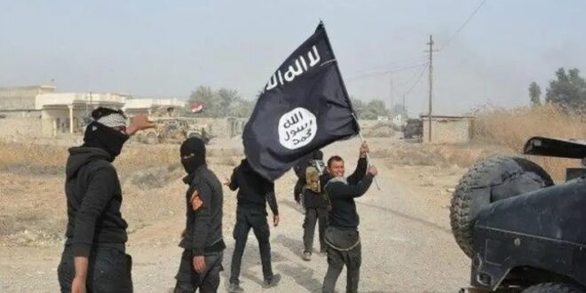 Seorang Perwira dan 4 Tentara Irak Tewas Diserang ISIS