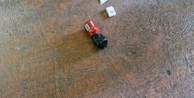 Densus 88 Temukan Tujuh Bahan Peledak di SMAN 72 Jakarta, Empat di Antaranya Meledak